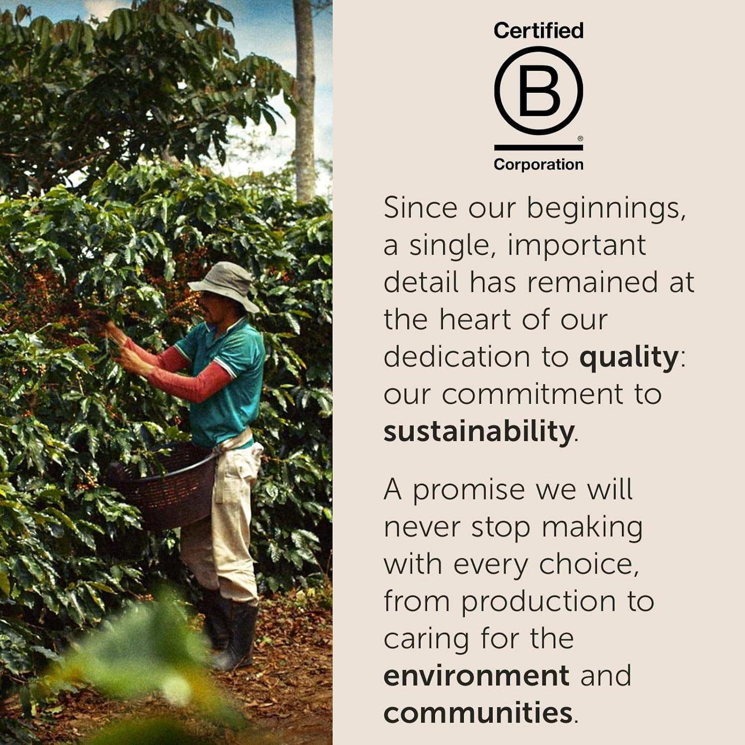 illy Whole Bean Coffee – Perfectly Roasted – Colombia Medium Roast – Smooth Taste, Notes of Fruit – Fruit Notes – 100% Arabica Beans – No Preservatives – 8.8 Ounce(Colombia Single Origin Medium Roast) - view 4