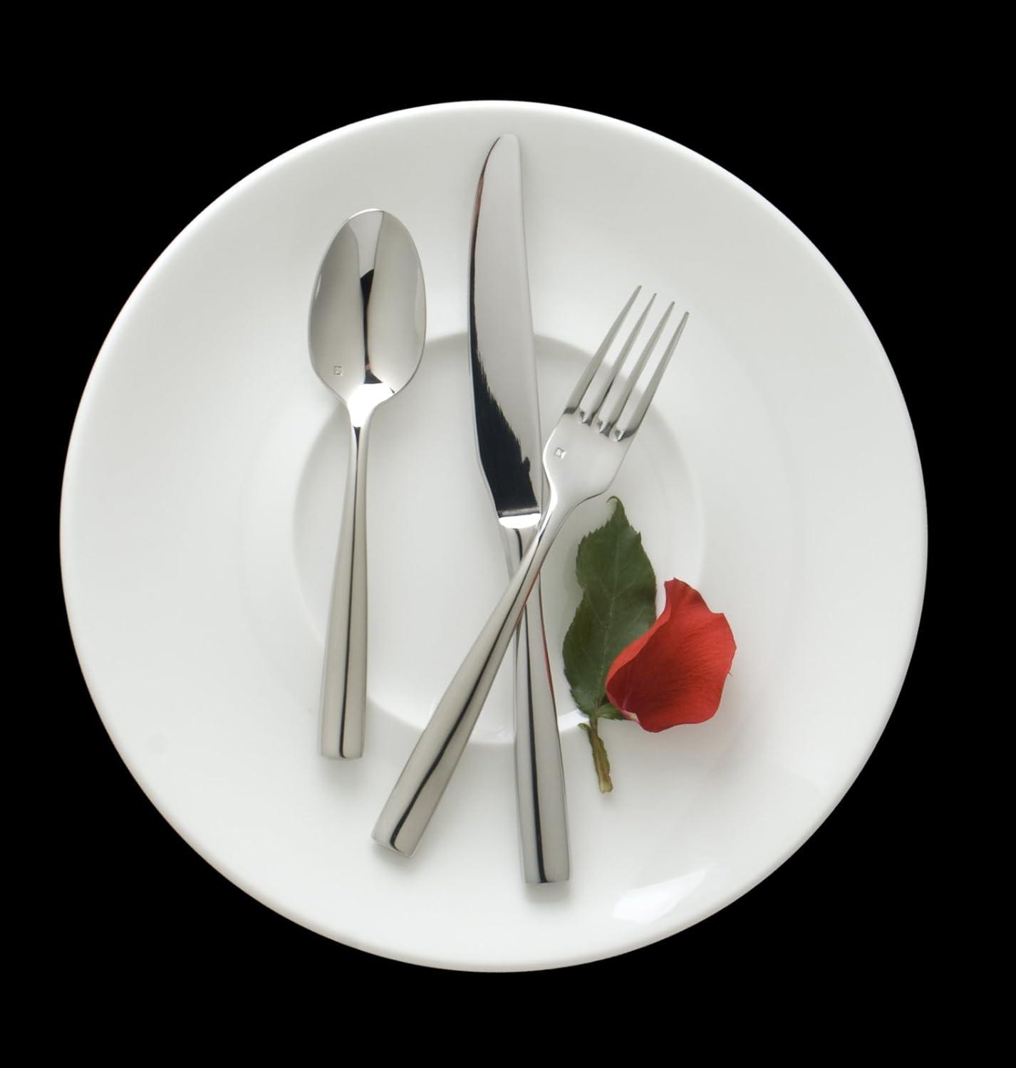 Fortessa Lucca Faceted 18/10 Stainless Steel Flatware Serving Spoon, 9-Inch(Contemporary) - view 5